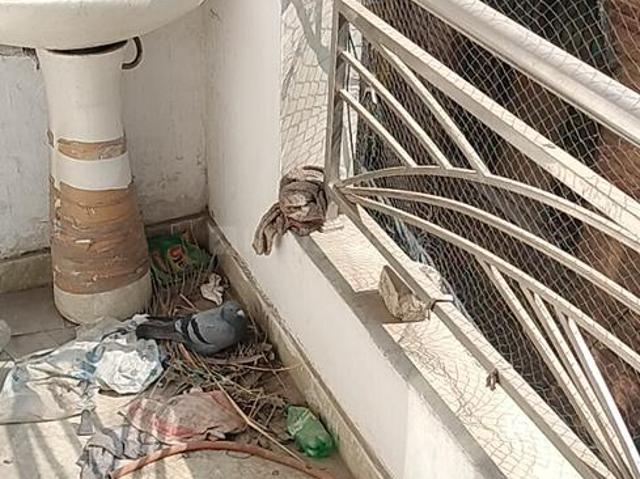 House for rent in East Delhi, Deri