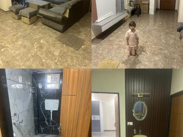 House for rent in Rajasthan