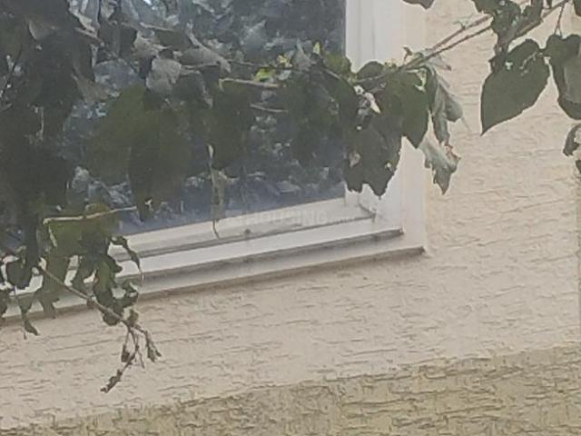 House for rent in Bangalore North, Cox Town - Bangalore