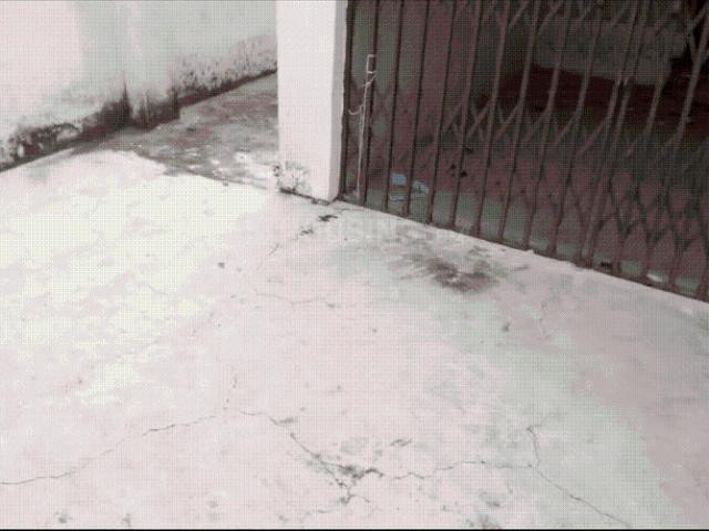 House for rent in Arunachal Pradesh