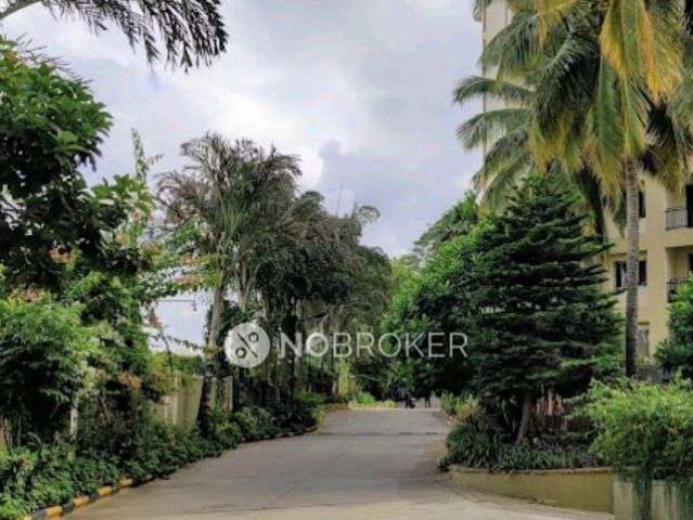 Property for rent in Bangalore South, Cox Town - Bangalore