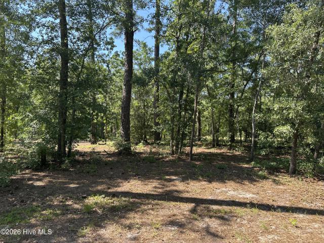 Land for sale in Atkinson, North Carolina
