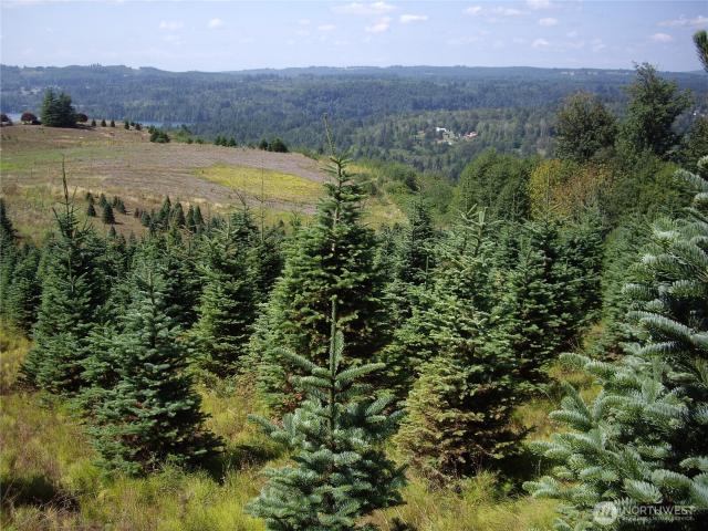Land for sale in Mossyrock, Washington