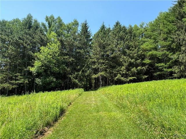 Land for sale in Hamilton, New York