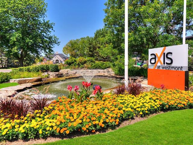 Apartment for rent in Westmont