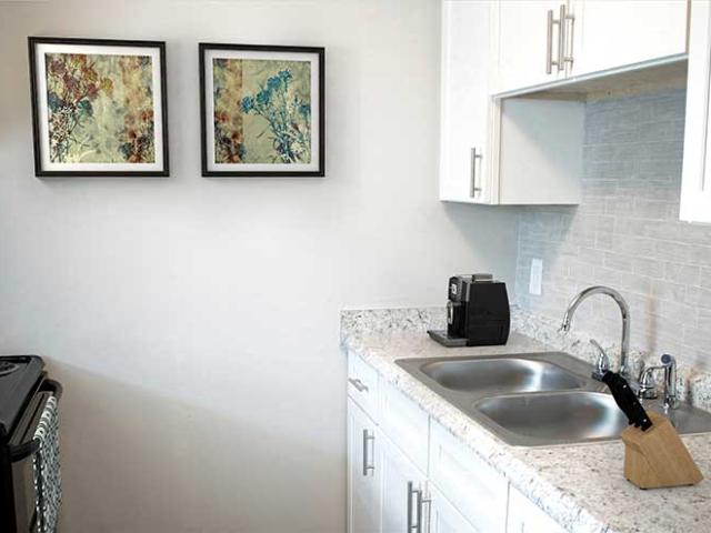 Apartment for rent in Dunedin