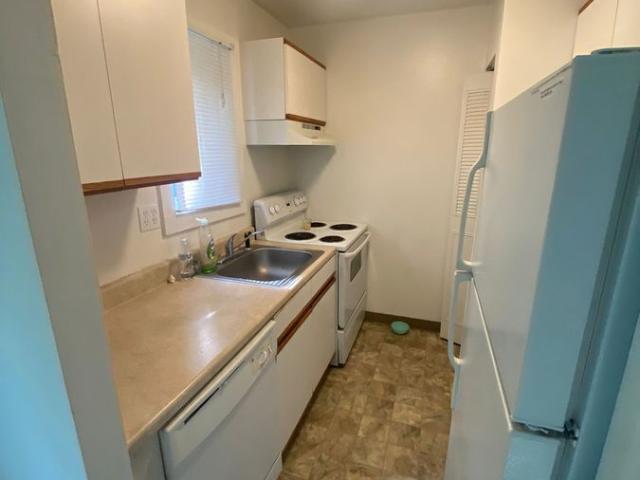 Apartment for rent in Ashford, Connecticut