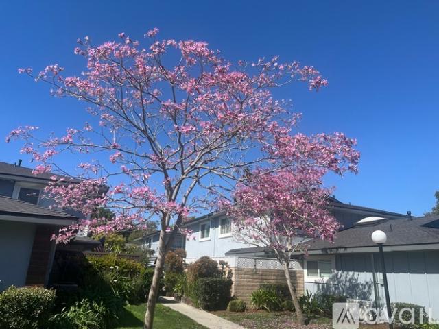 Apartment for rent in Huntington Beach, California