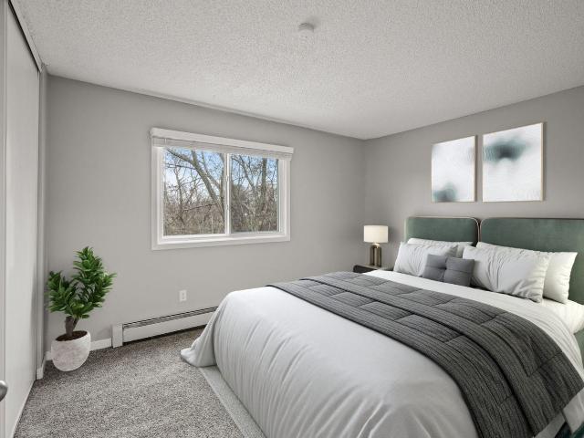 Apartment for rent in Ramsey, Minnesota
