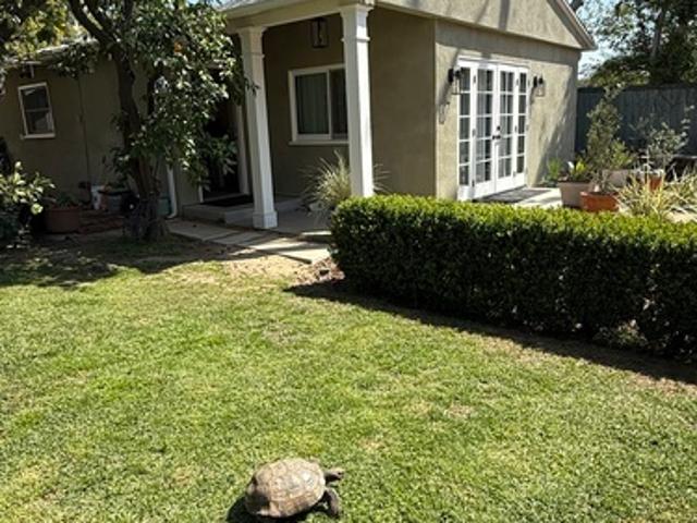 Apartment for rent in California