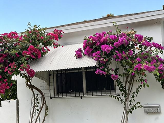 Apartment for rent in North Miami Beach, Florida
