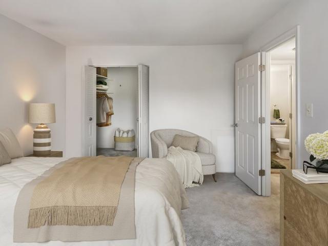 Apartment for rent in Beltsville Apartment for rent in Beltsville