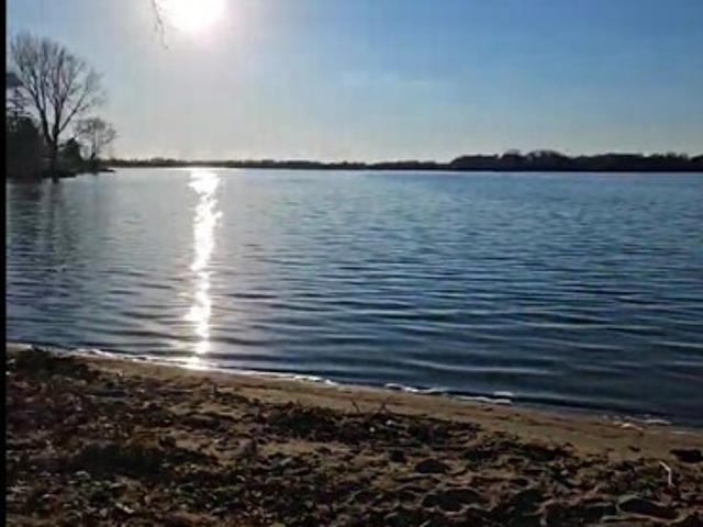 Apartment for rent in Minnesota