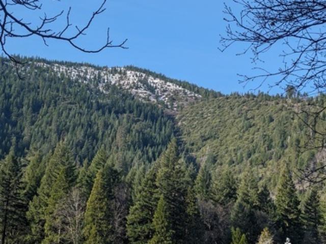 Apartment for rent in Dunsmuir