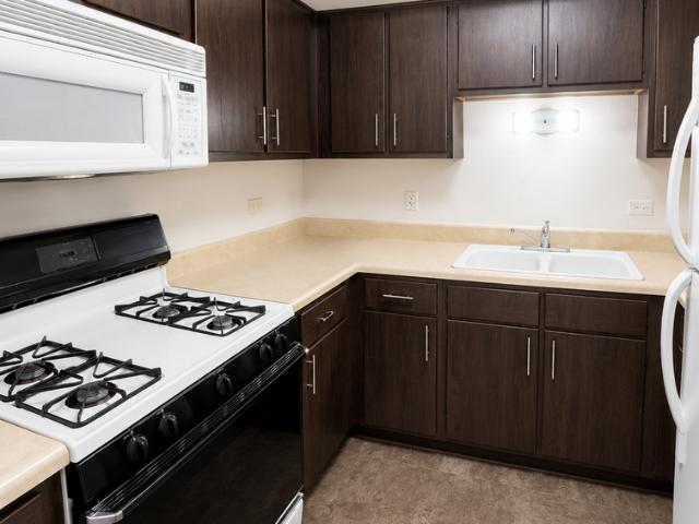 Apartment for rent in Chicago Ridge, Illinois