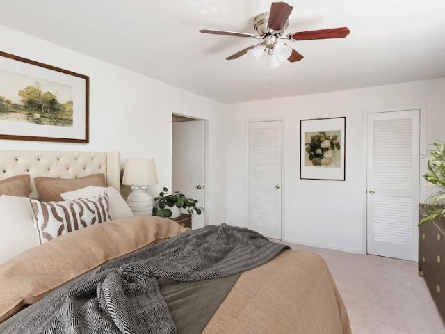 Apartment for rent in Annandale