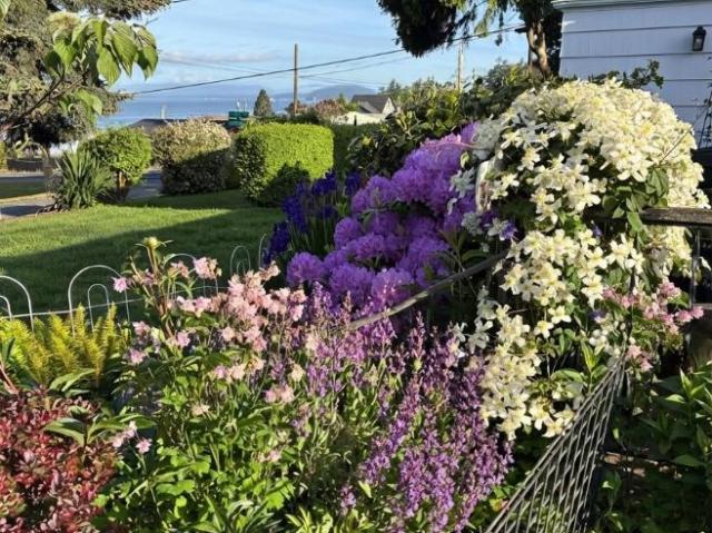 House for rent in Mount Vernon, Washington