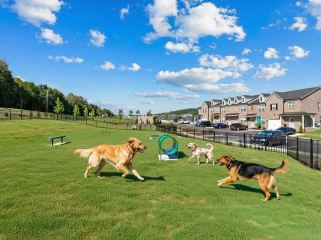 Apartment for rent in Tennessee