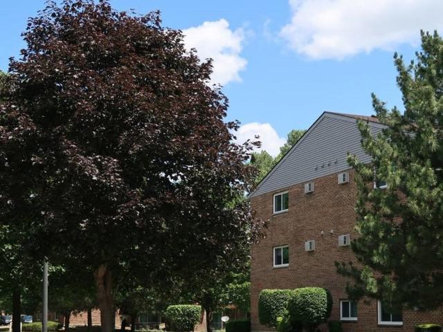 Apartment for rent in Naperville