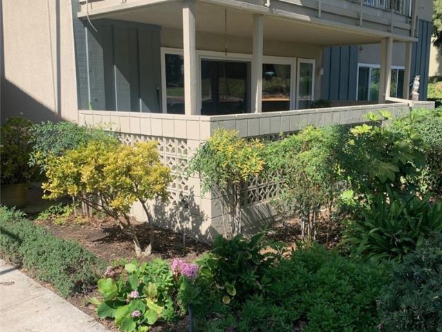 Apartment for rent in Laguna Woods, California