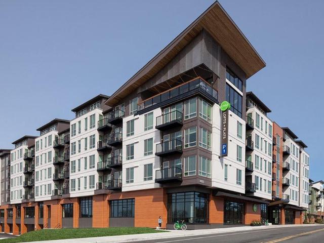 Apartment for rent in Kenmore