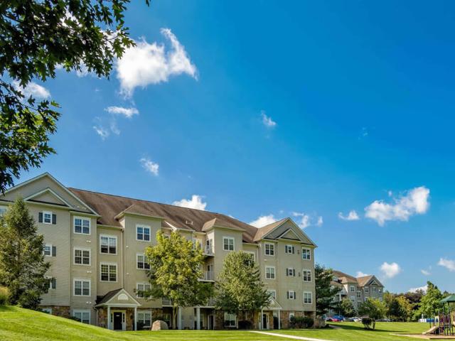 Apartment for rent in Bethlehem
