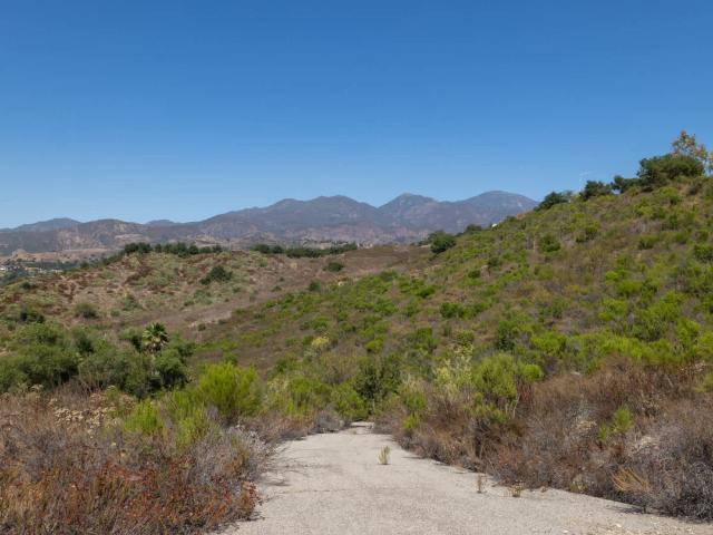 Apartment for rent in Foothill Ranch, California