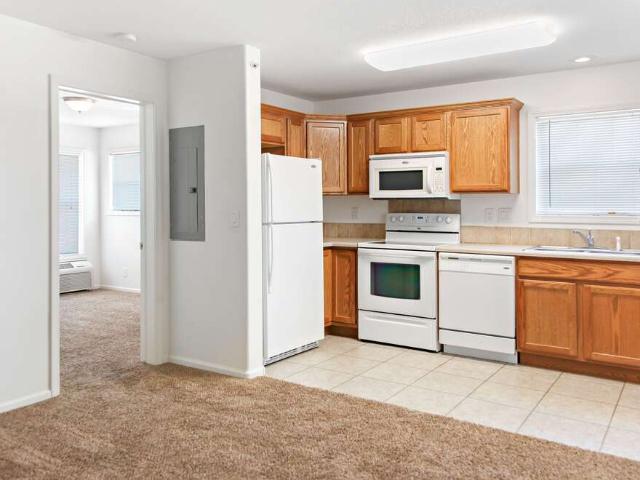 Apartment for rent in Rifle