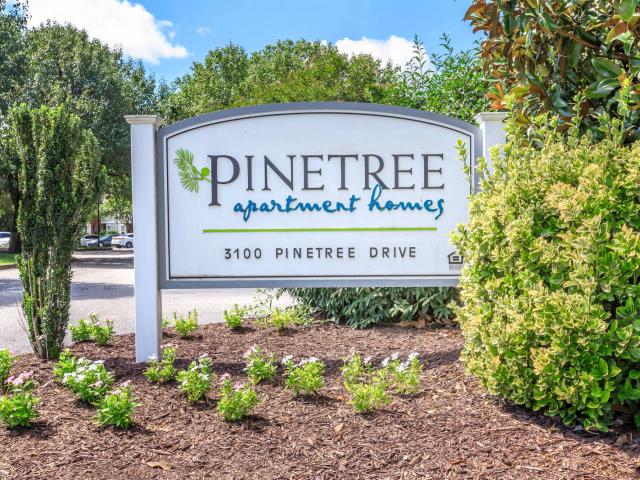 Apartment for rent in Petersburg