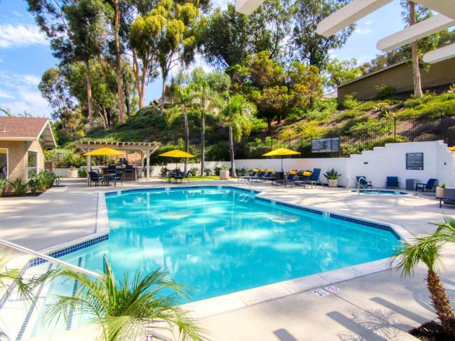 Apartment for rent in Spring Valley
