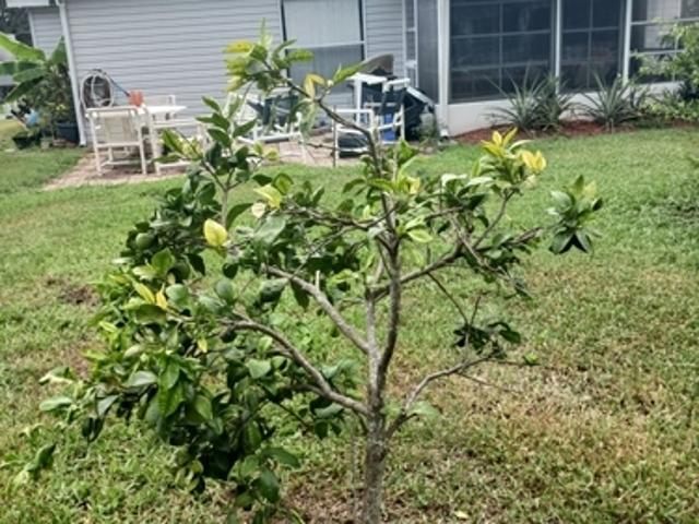 Apartment for rent in Leesburg