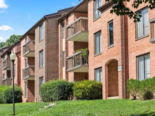 Apartment for rent in Annandale