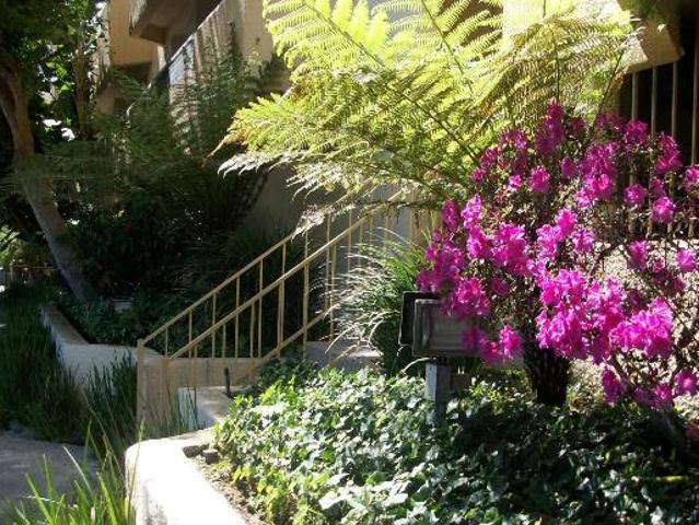 Apartment for rent in Sherman Oaks