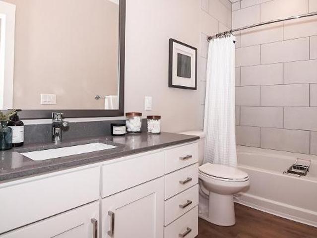 Apartment for rent in Mecklenburg, North Carolina