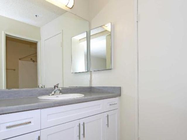 Apartment for rent in Cedros Ave Design District, Solana Beach