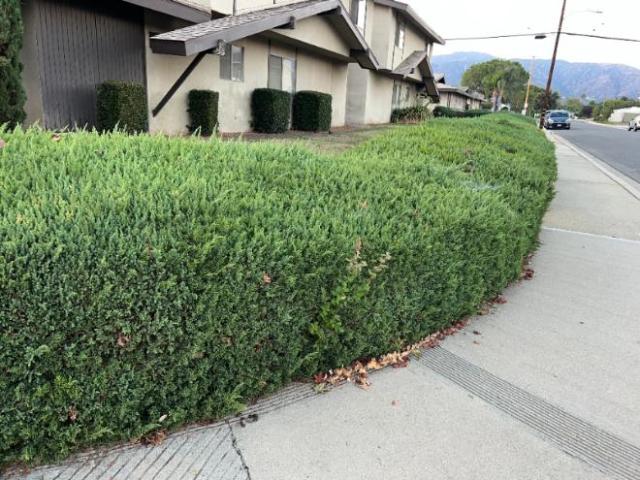 Condo for rent in La Verne, California
