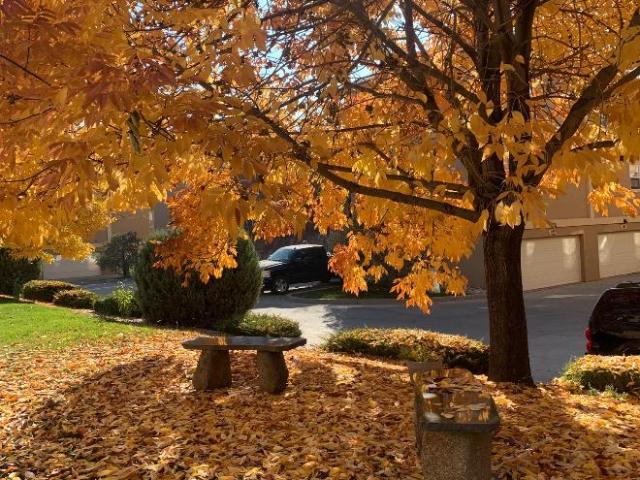 Condo for rent in Rigden Farms, Fort Collins