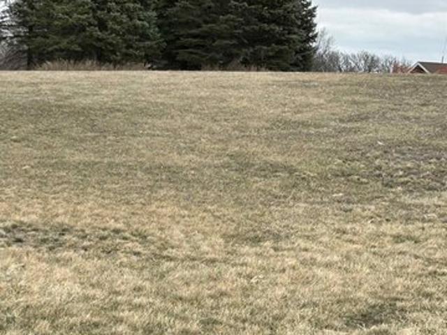 Land for sale in Emmet, Iowa