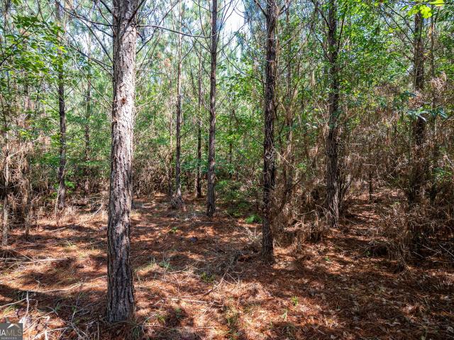 Land for sale in Elbert, Georgia