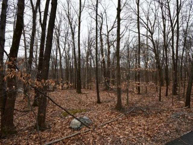 Land for sale in Blairstown, New Jersey