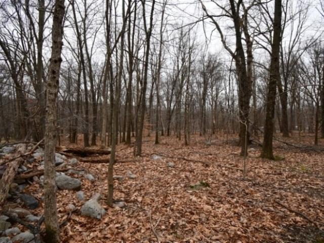 Land for sale in Blairstown, New Jersey