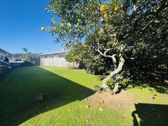 House for rent in Whitianga, Waikato