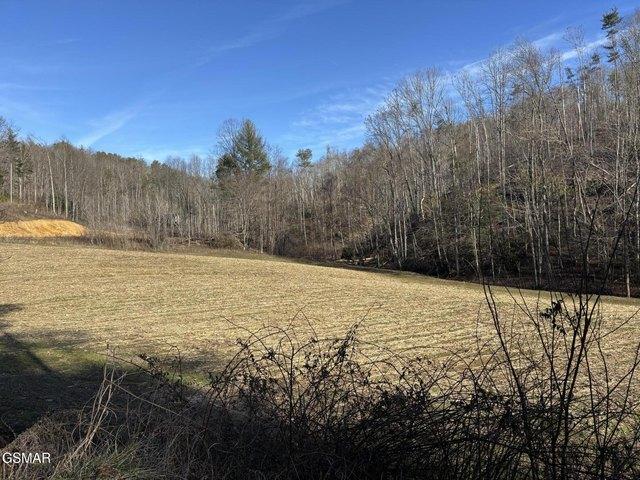Land for sale in Tennessee