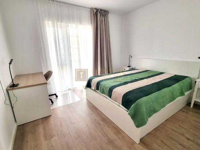 Apartament închirieri în Timisoara, Timiș