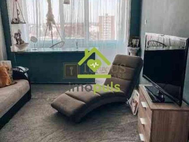 Apartament închirieri în Timisoara, Timiș