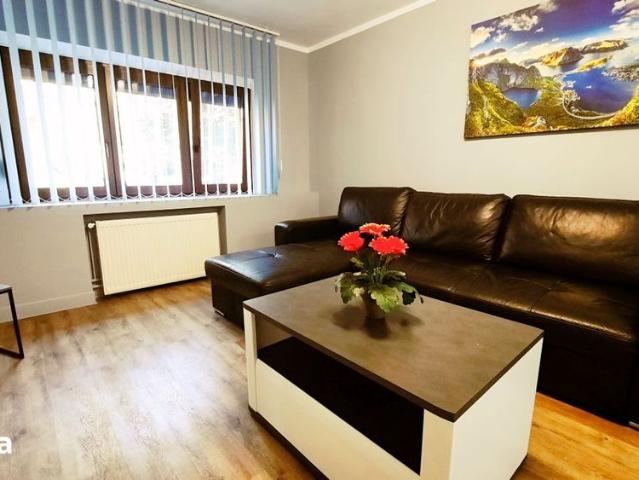 Apartament închirieri în Timisoara, Timiș