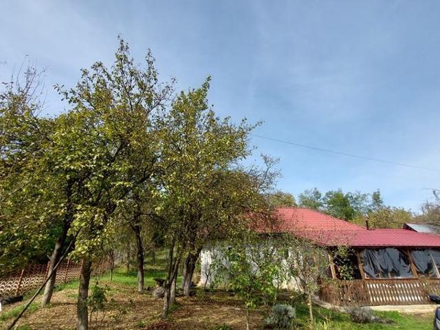 Casă vânzări
