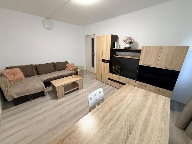 Apartament închirieri în Timisoara, Timiș