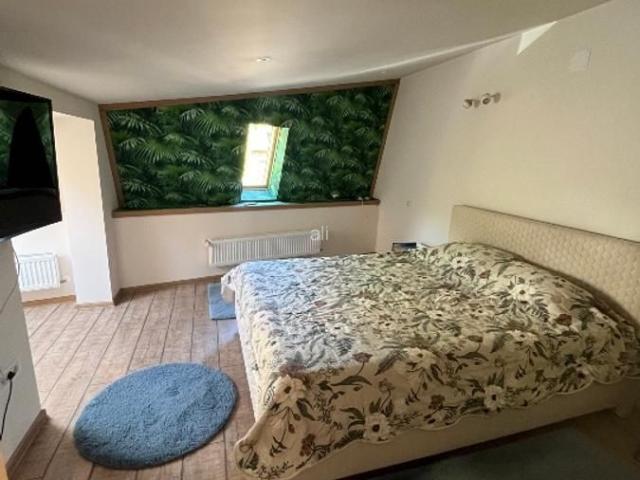Casă închirieri în București