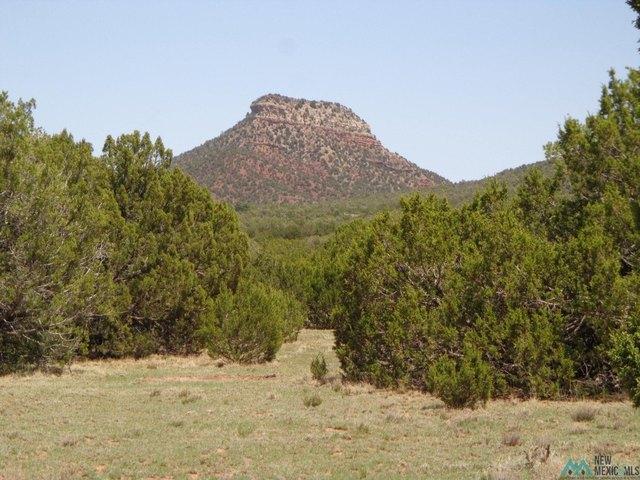 Land for sale in Bernal, San Miguel County